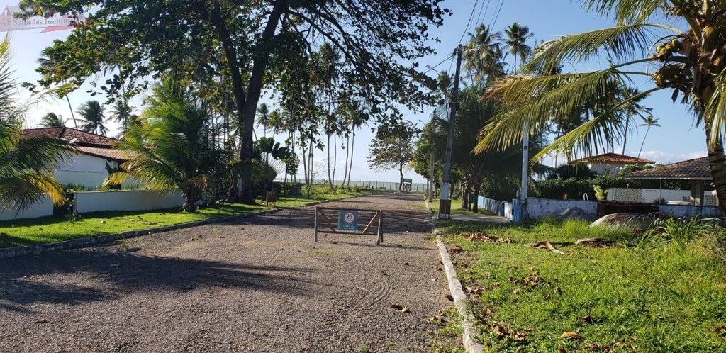 image_re_19780135.jpg
