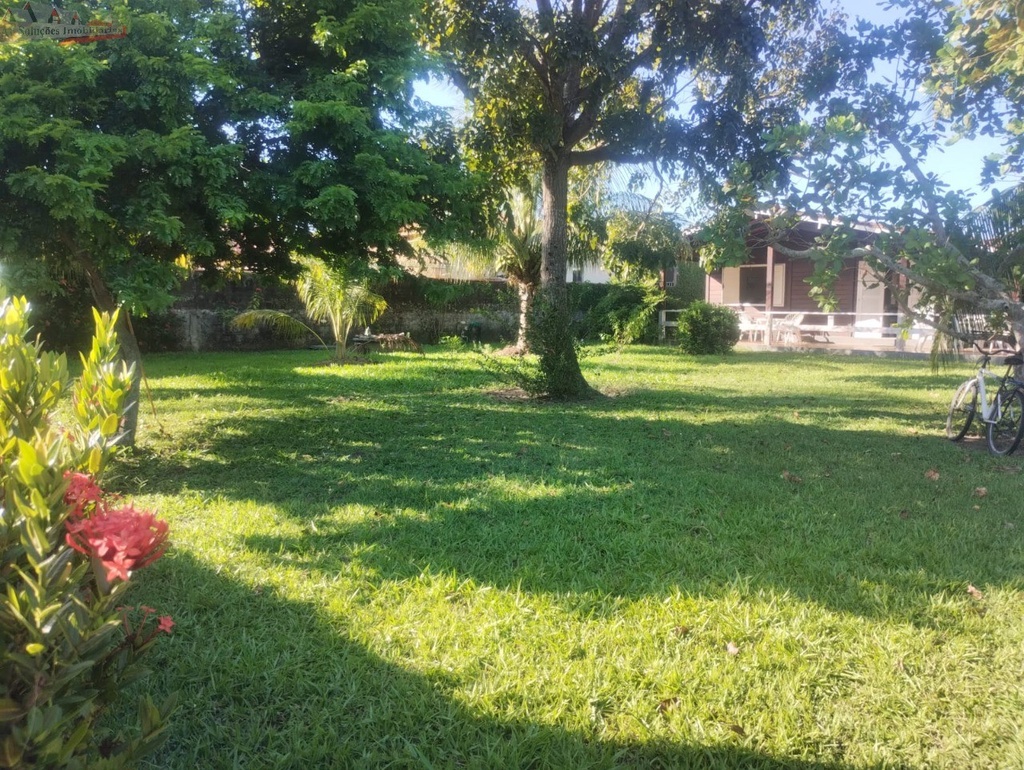 image_re_19780205.jpg