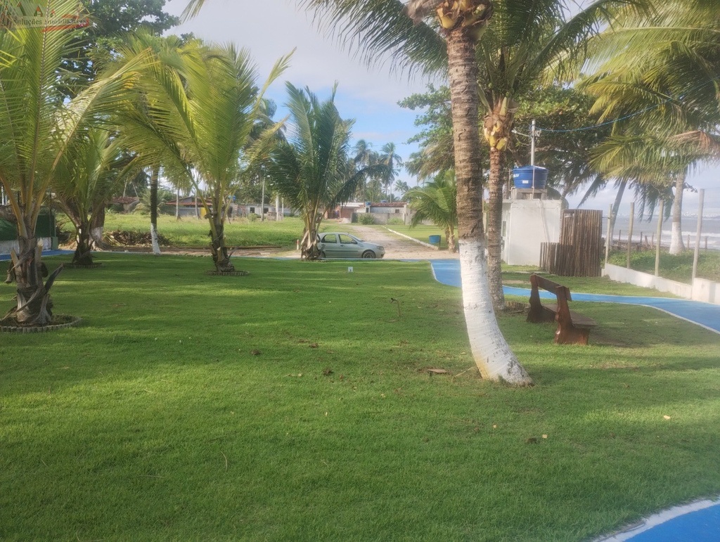 image_re_19780245.jpg