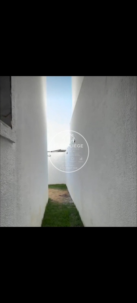 578550.jpg