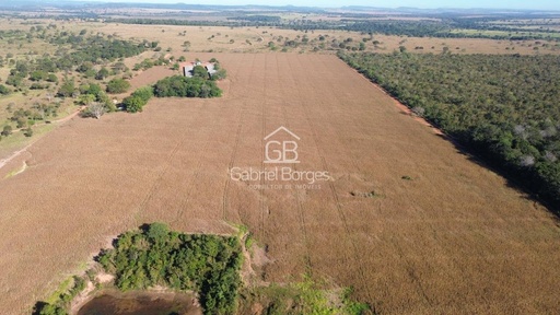 Fazenda/Sítios/Chácaras de no bairro Zona rural , em Paraíso do Tocantins | Eu Corretor