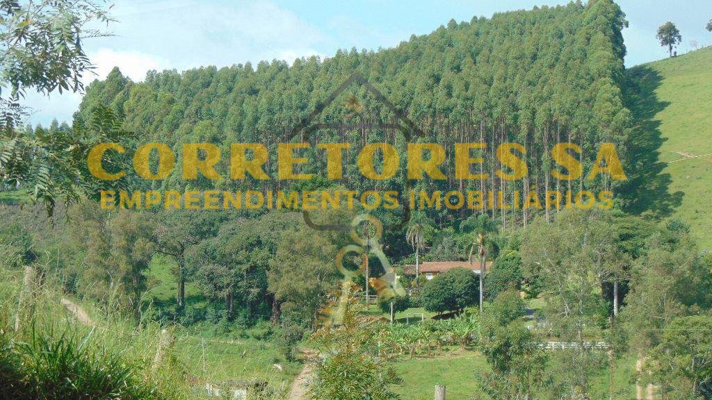 1728485000905.jpg