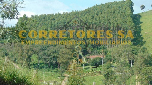 Fazenda/Sítios/Chácaras de 3 quartos, 300m² no bairro Lopes, em Cambuí | Eu Corretor