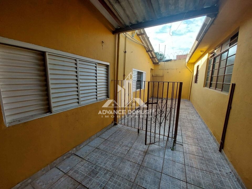 quintal 6.jpg