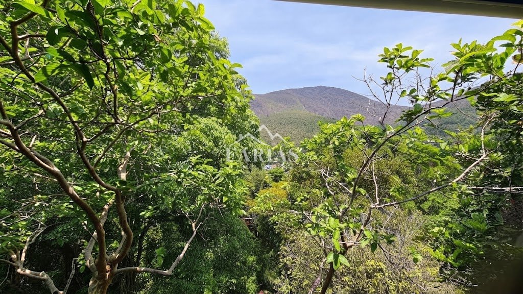 watermarked_img_6958765741339779214.jpg