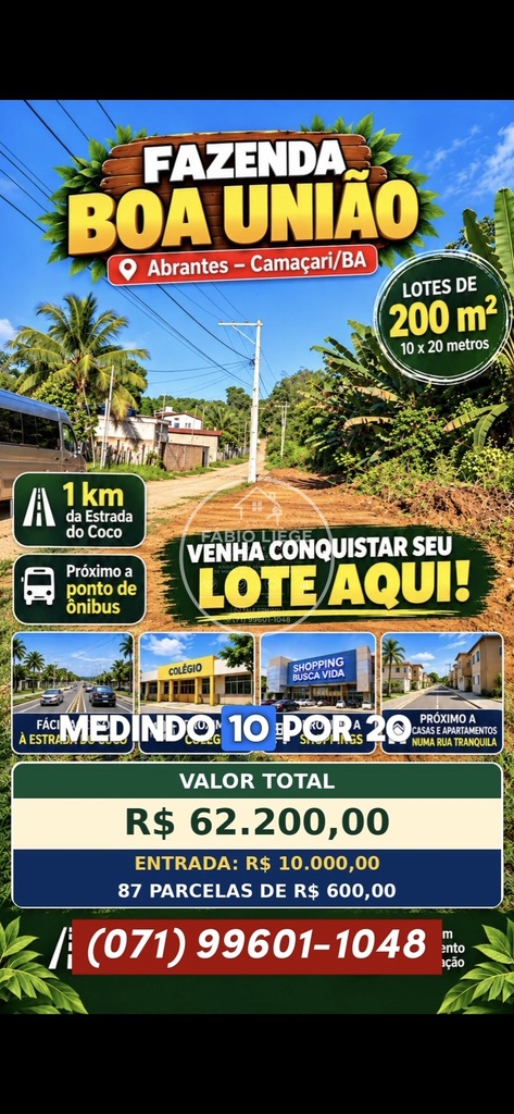 869004.jpg