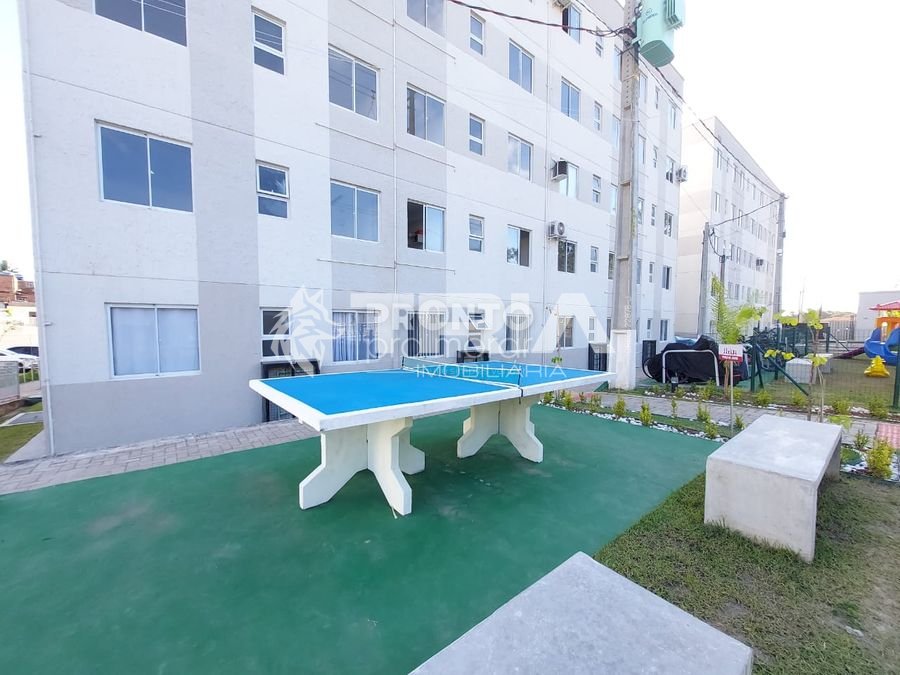 38809.jpg