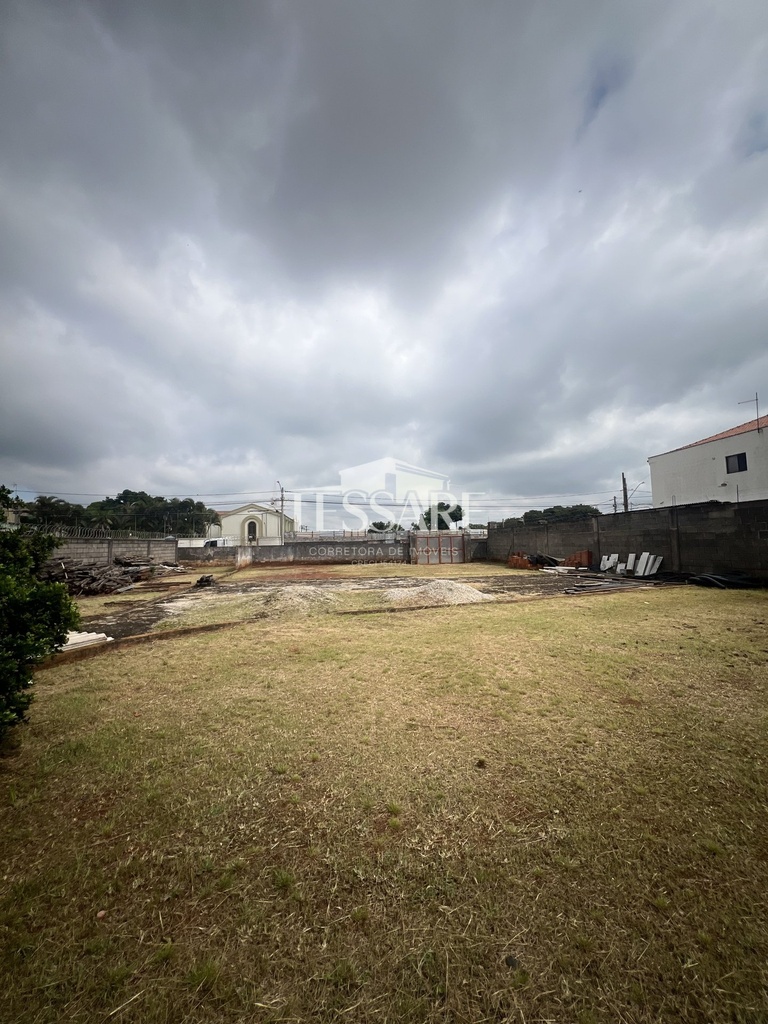 IMG_1808.jpeg