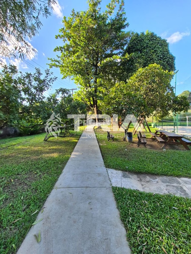 67162.jpg