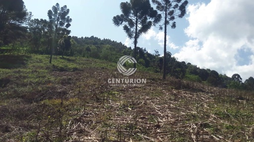 Lote/Terreno de 3 quartos, 120000m² no bairro Distrito de Nova Petrópolis, em Joaçaba | Eu Corretor