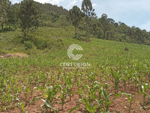Lote/Terreno de 3 quartos, 120000m² no bairro Distrito de Nova Petrópolis, em Joaçaba | Eu Corretor