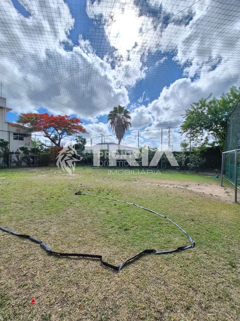 59545.jpg