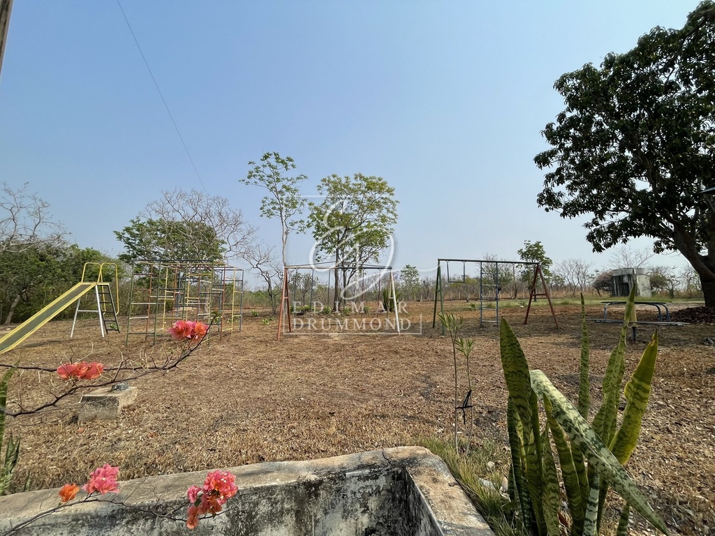 IMG_4686.jpeg