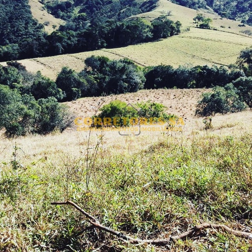 Fazenda/Sítios/Chácaras de no bairro Congonhal , em Cambuí | Eu Corretor