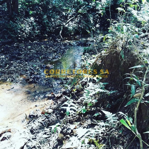 Fazenda/Sítios/Chácaras de no bairro Congonhal , em Cambuí | Eu Corretor
