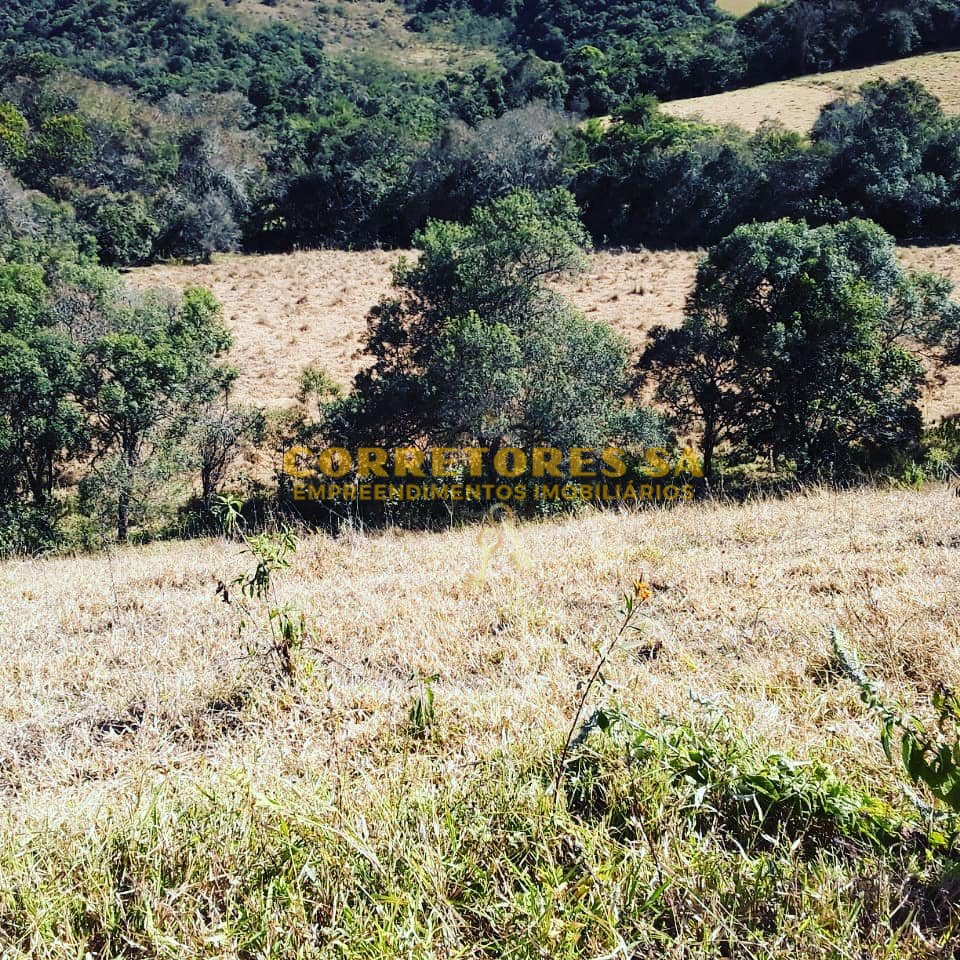 1000905195.jpg