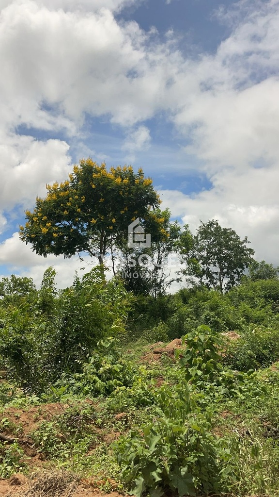 lote1.jpg