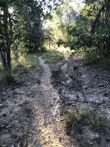 Casa no bairro Quebra Coco, em Mata de São João | Eu Corretor