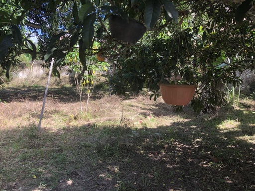 Casa de 2 quartos, no bairro Bomfim, em Mata de São João | Eu Corretor
