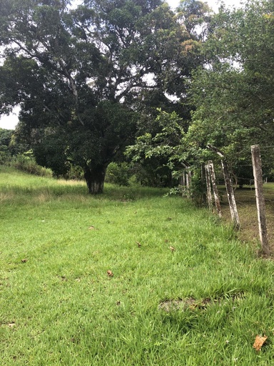Casa de 2 quartos, no bairro Bom Jesus, em Mata de São João | Eu Corretor