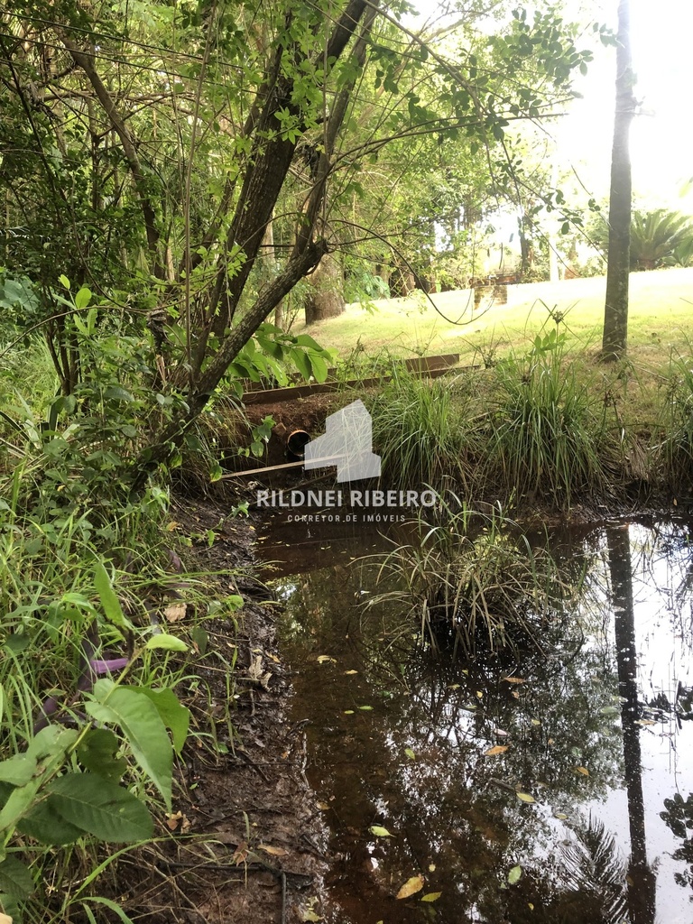 IMG_9478.jpeg