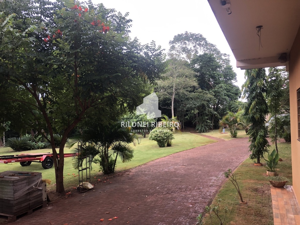 IMG_9354.jpeg