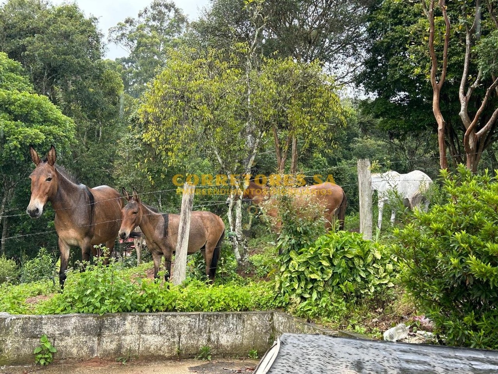 1001077240.jpg