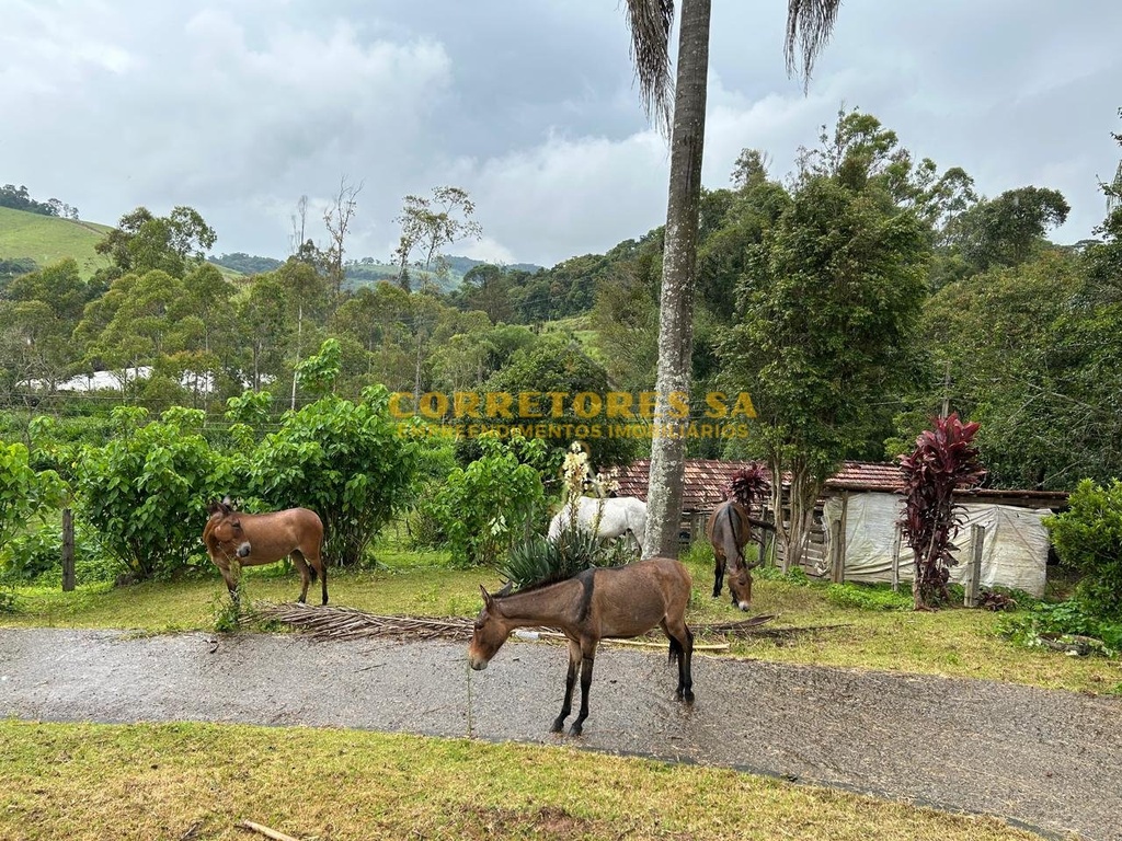 1001077236.jpg
