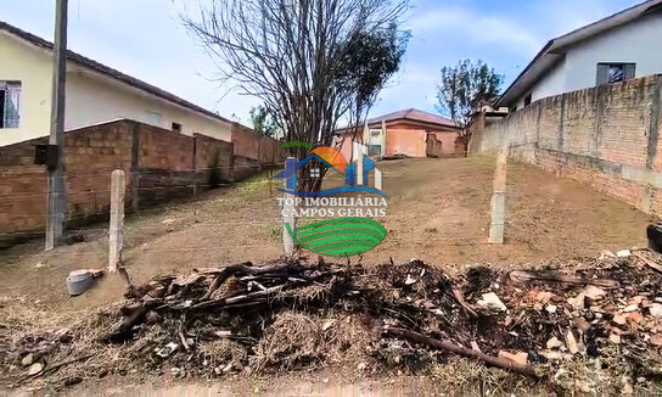 Design sem nome (80).png