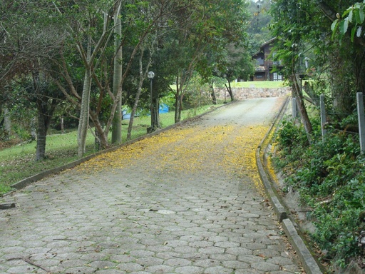 Lote/Terreno de no bairro Jurerê, em Florianópolis | Eu Corretor