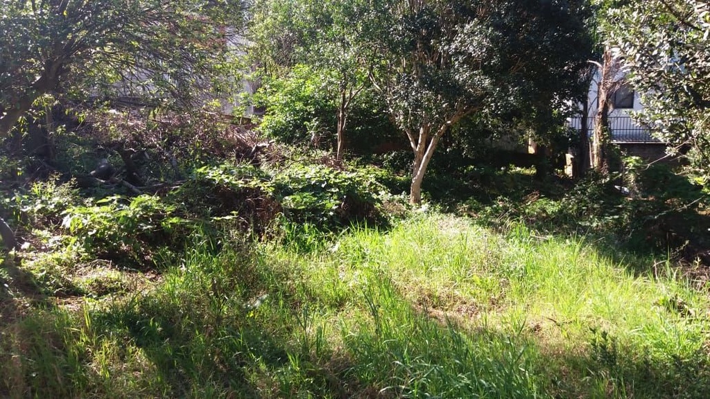 image_re_4006847.jpg