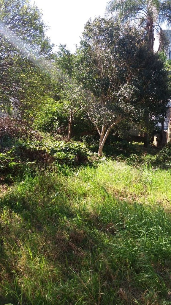 image_re_4006849.jpg