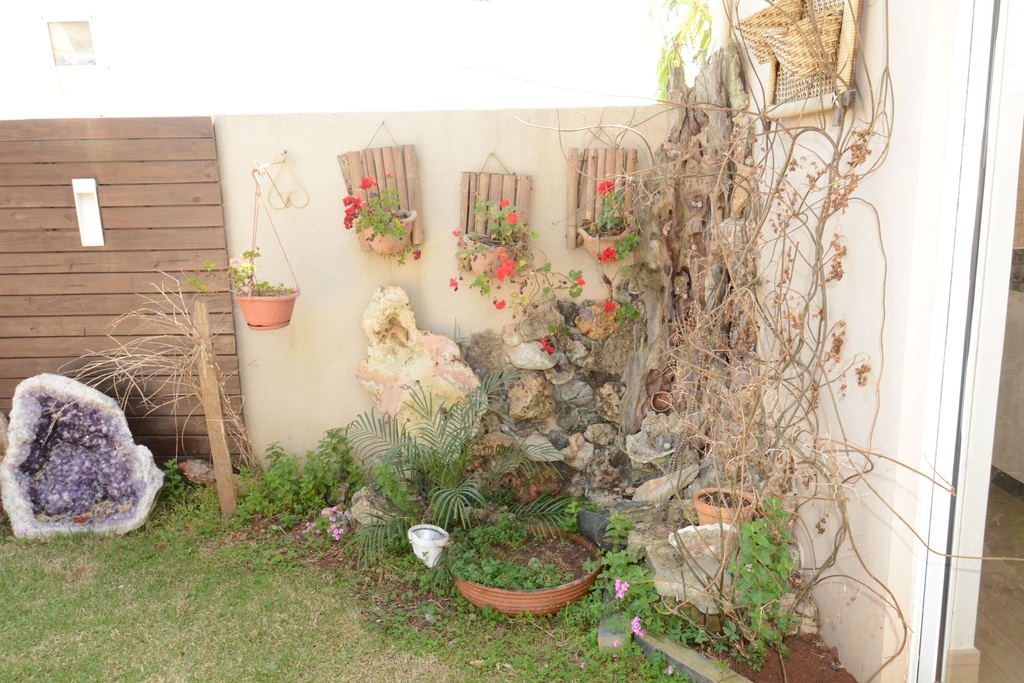 image_re_4006871.jpg