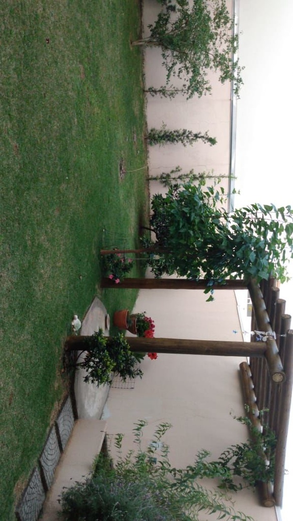 image_re_4008187.jpg