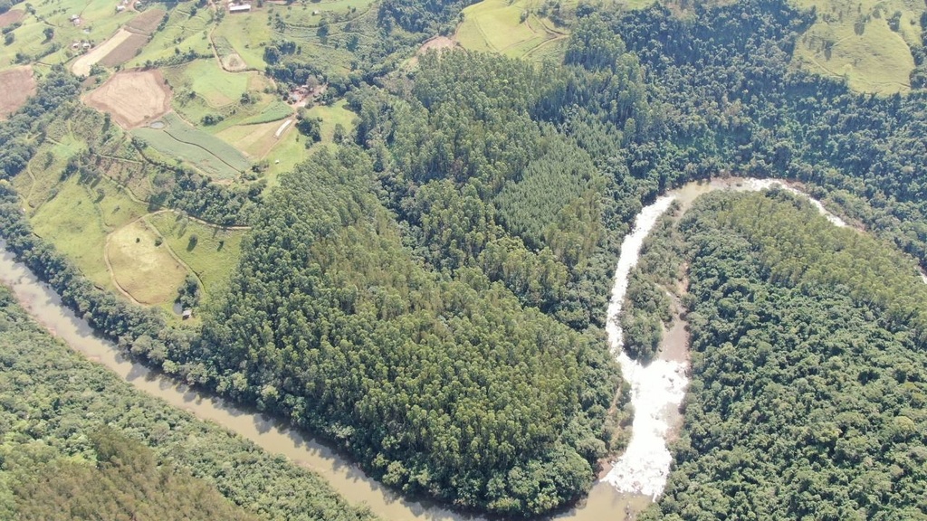 image_re_4008249.jpg