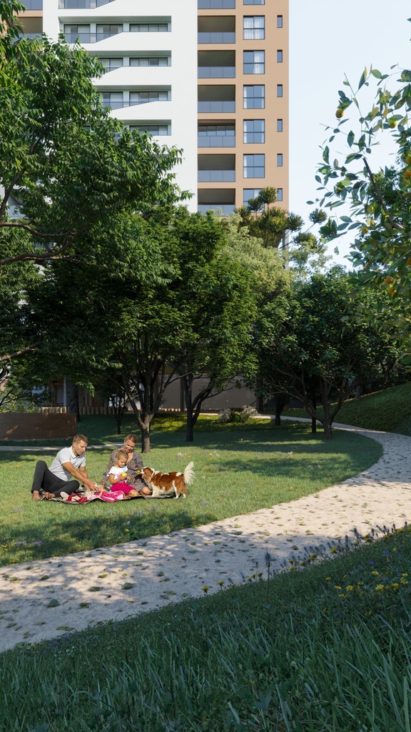 image_re_4010212.jpg