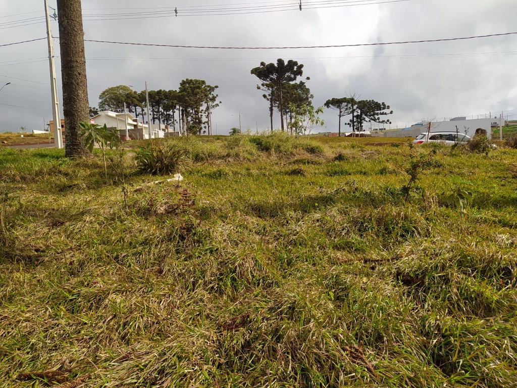 image_re_4010329.jpg