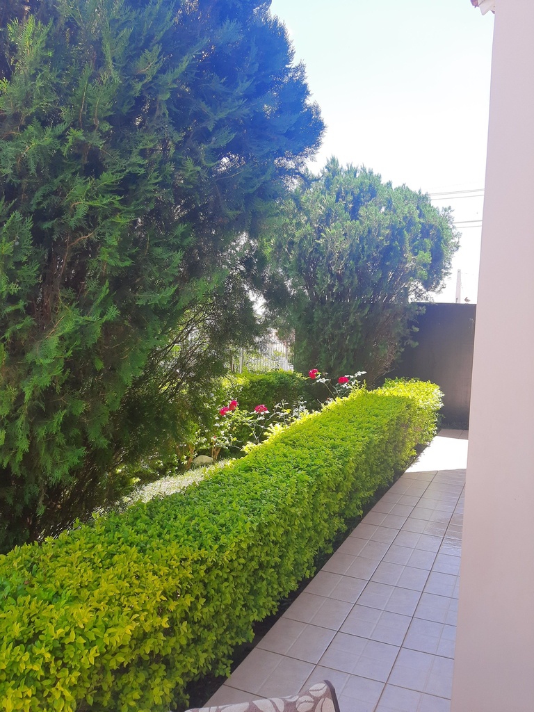 image_re_4012412.jpg