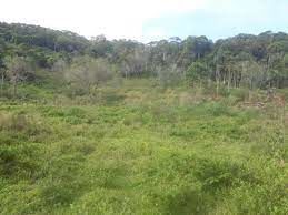 image_re_4013666.jpg