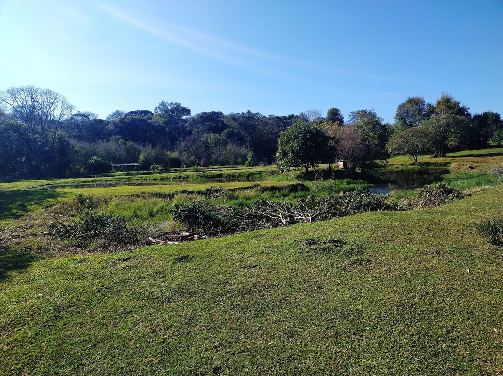 image_re_4013704.jpg
