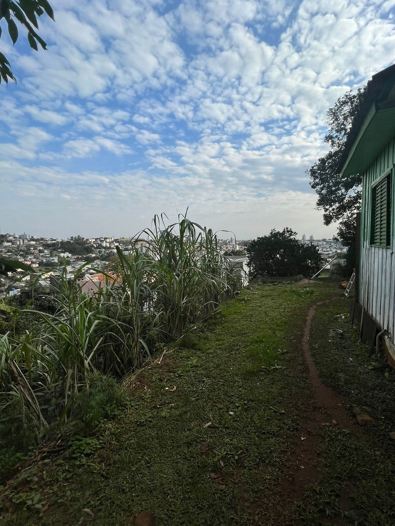 image_re_4014207.jpg