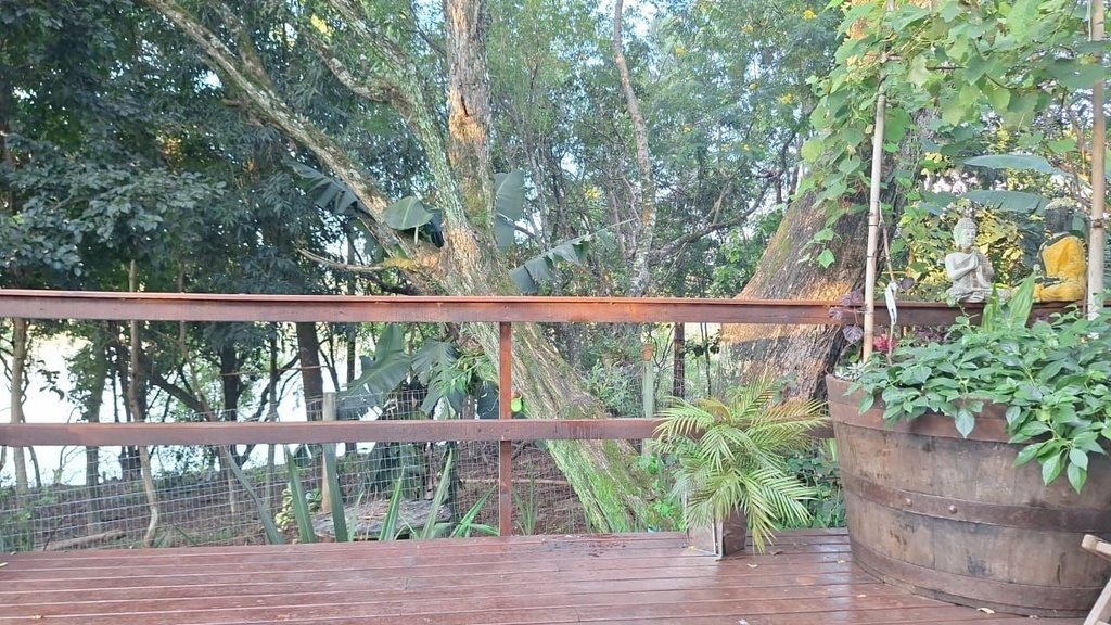image_re_4014689.jpg