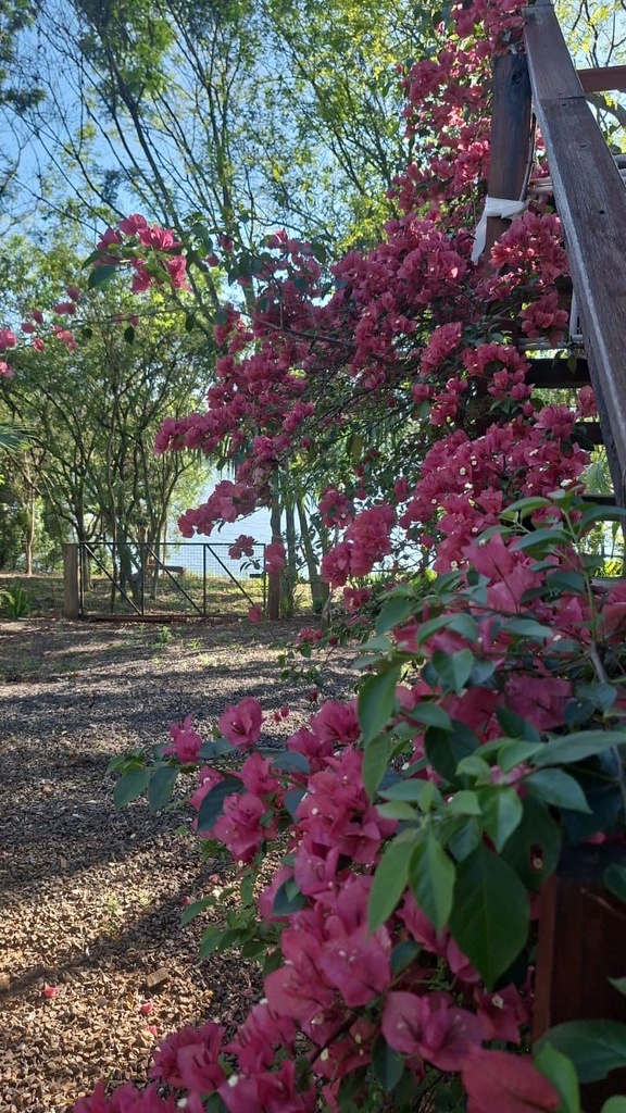 image_re_4014741.jpg