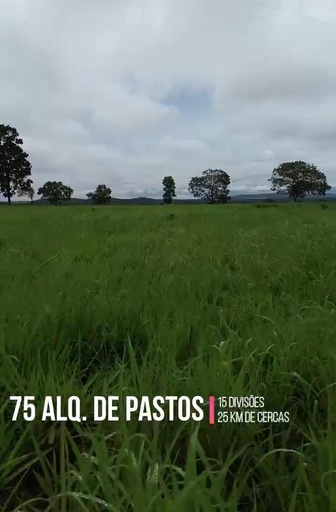 Fazenda/Sítios/Chácaras de 3m² no bairro REGIÃO SUL, em Chapada de Areia | Eu Corretor