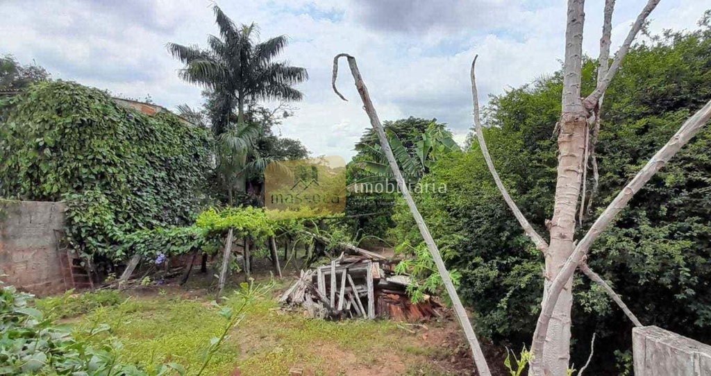 fundos quintal01.jpg