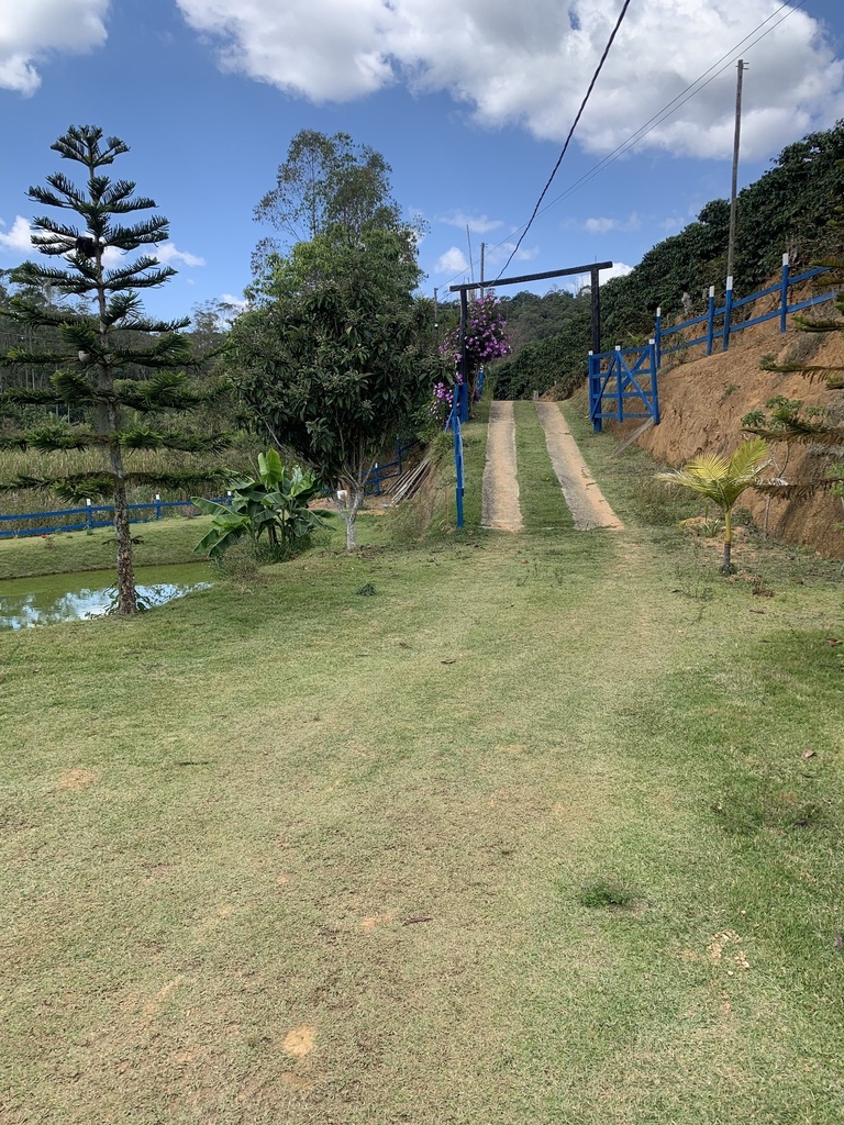 IMG_2344.jpeg