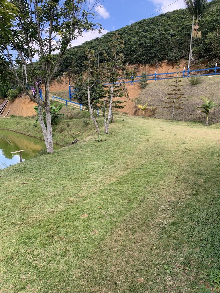 IMG_2339.jpeg