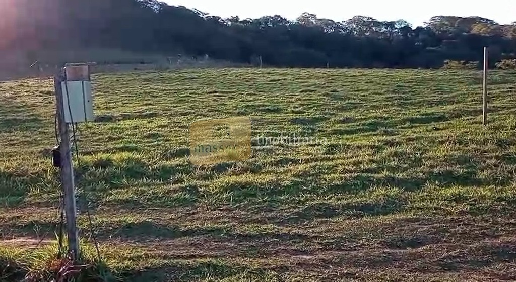 Captura de tela 2025-07-30 104351.png