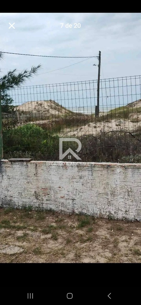 FB_IMG_1754326205881.jpg