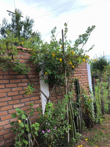 Chácara de 4 quartos, no bairro BR LAMBARI/CAMBUQUIRA, em Lambari | Eu Corretor